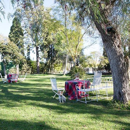 Cortijo Rural La Mariscala Villa เฮเรซ เด ลาฟรอนเตรา ภายนอก รูปภาพ