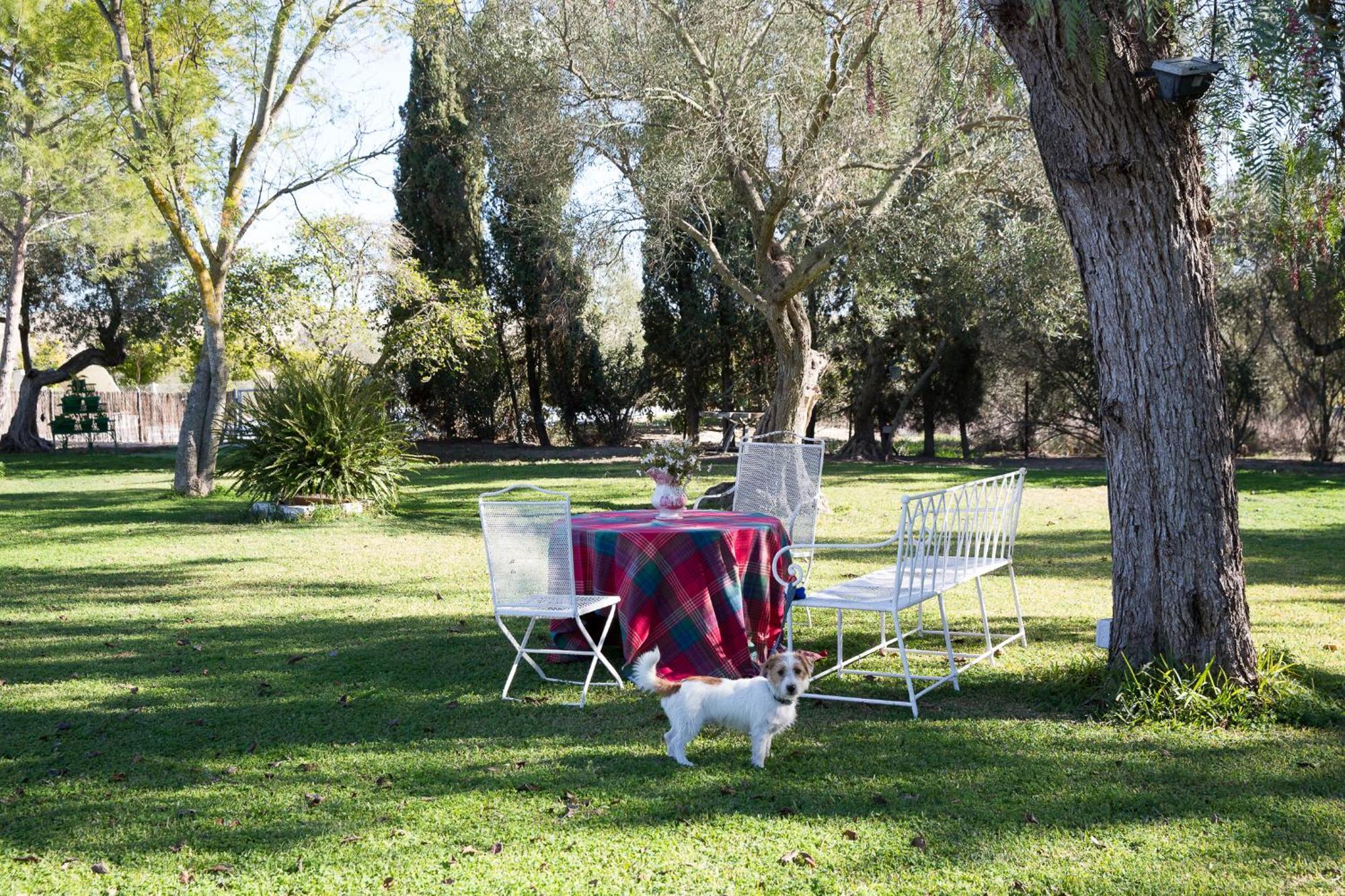 Cortijo Rural La Mariscala Villa เฮเรซ เด ลาฟรอนเตรา ภายนอก รูปภาพ